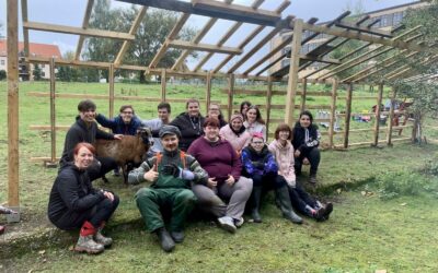 Projekt „Bedacht ans Werk“ – Herbst ist, wenn was geschafft wird!