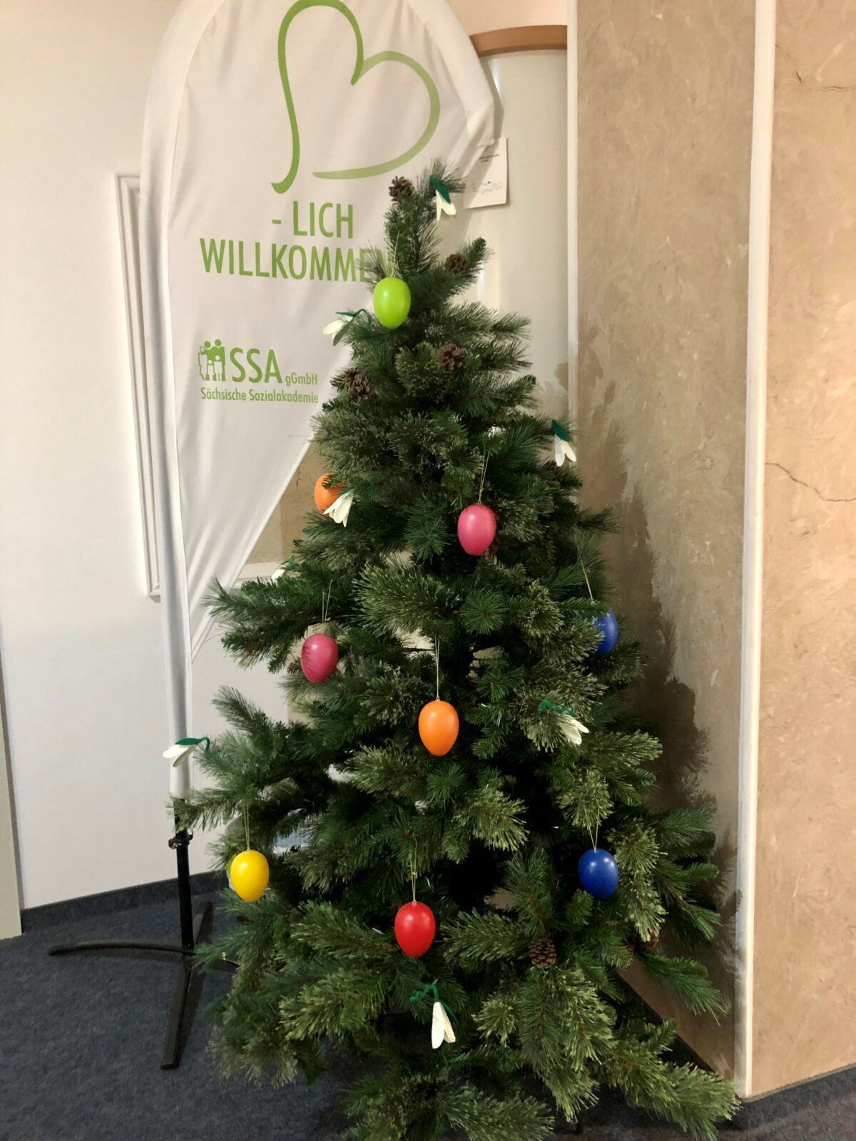 Ganzjahresbaum