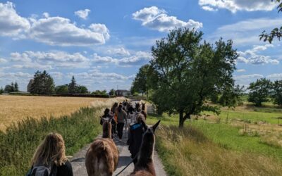Zu einem äußerst gelungenen Schuljahresabschluss gehören nicht nur gelungene Zeugnisse, sondern auch die Erlebnisse, die das Jahr vollendet vollenden!