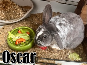 Oscar